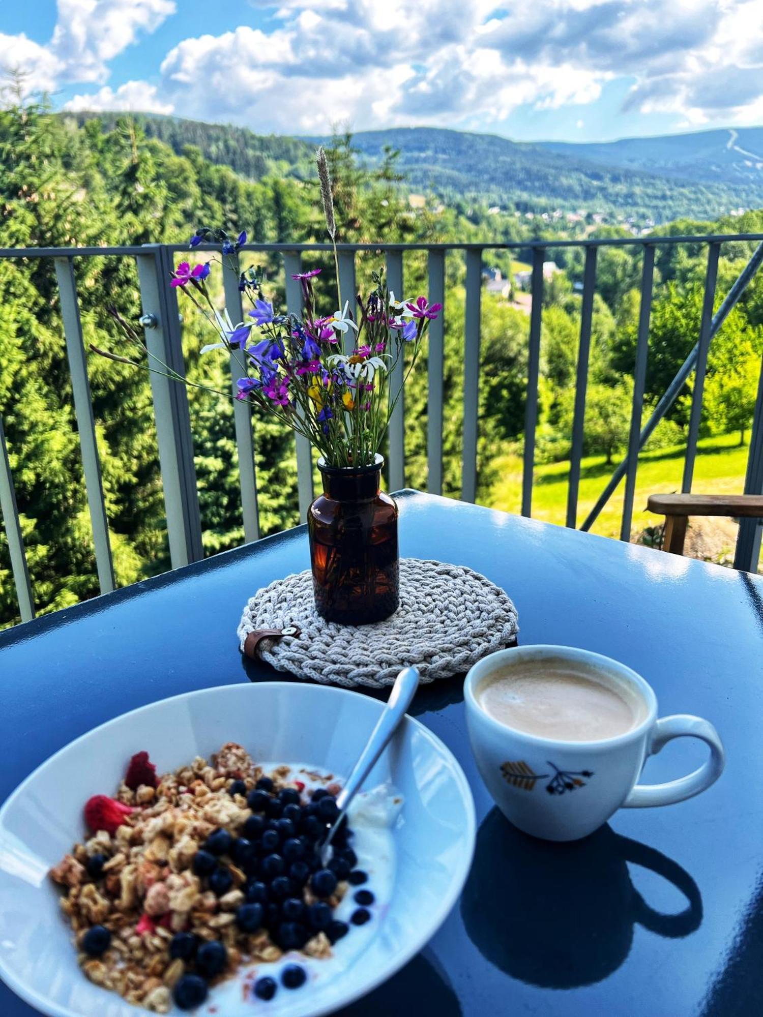 Apartman Vista Rokytnice Рокитнице над Ийзероу Екстериор снимка