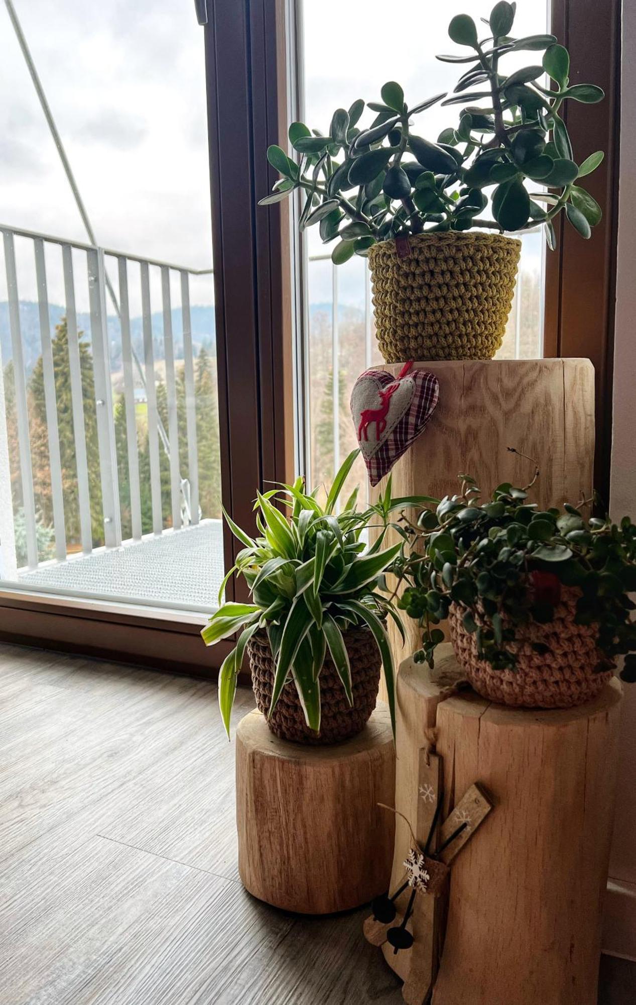 Apartman Vista Rokytnice Рокитнице над Ийзероу Екстериор снимка